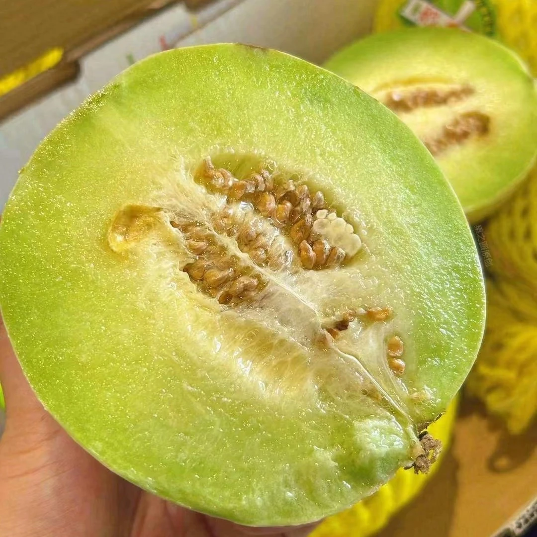 果冻玉菇瓜（发3个）