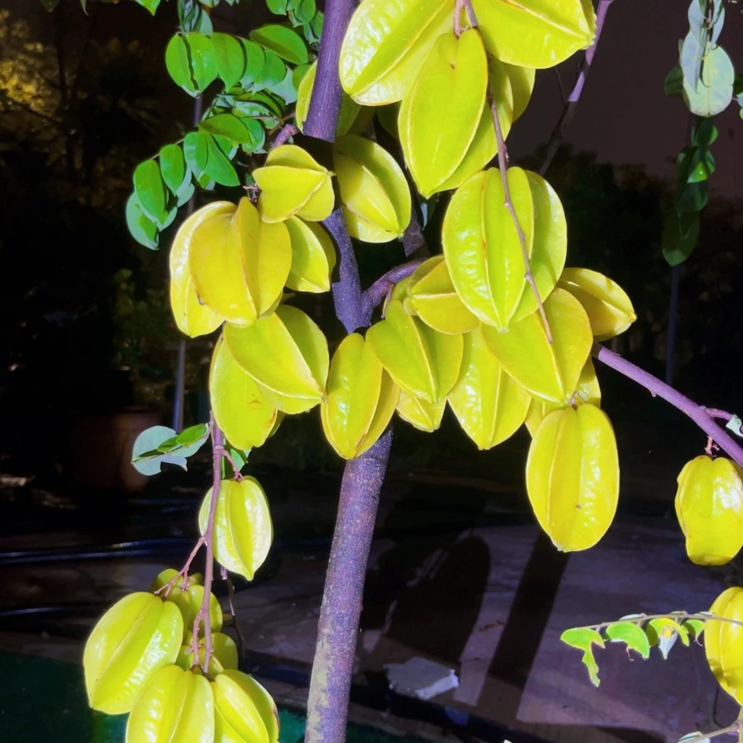 2222我要做的就是把自己变