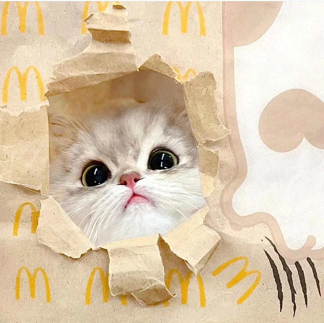 【欧气抽奖球】欧皇补球一颗链接