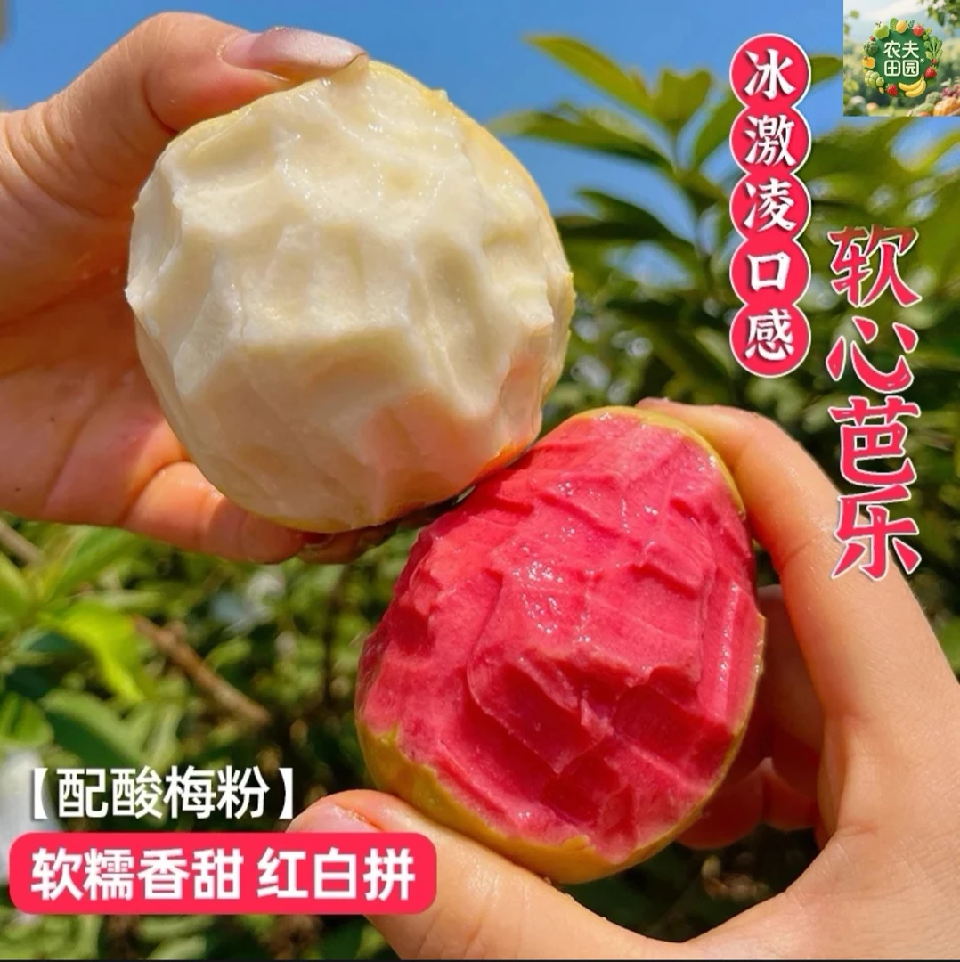 【冰淇淋口感】正宗红心芭乐新鲜水果白心奶油芭乐番石榴软糯香甜