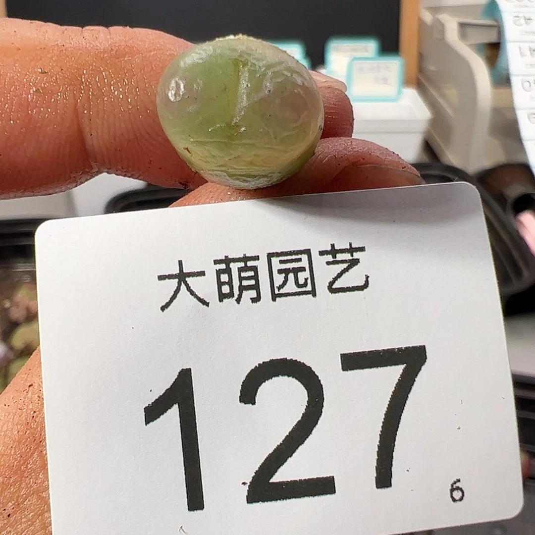 0000127 一物一拍……