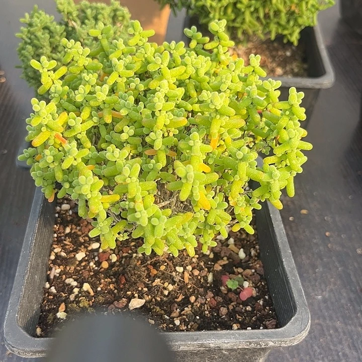 8。             ，   ，