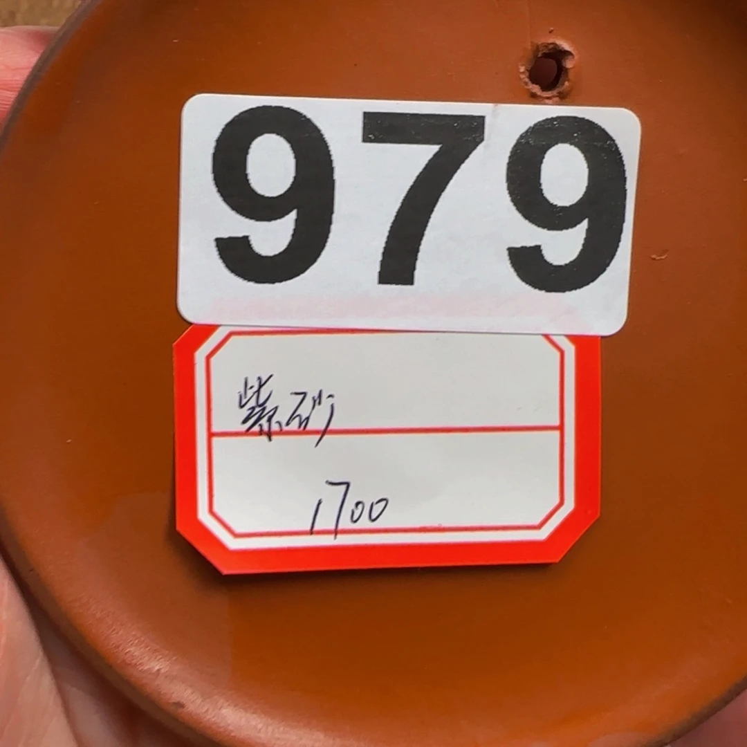 距***仔紫砂无979………………………………