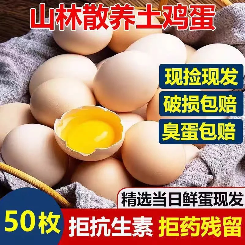 【破损包赔】50枚新鲜土鸡蛋现捡正宗散养农家营养谷物蛋gq