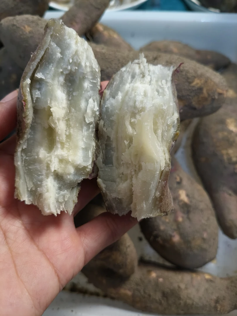 番薯地瓜新鲜沙地粉糯香甜