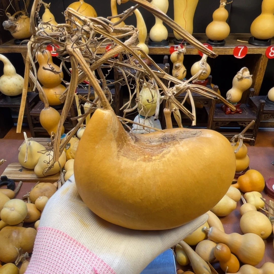 前***3葫芦葫芦葫芦葫芦