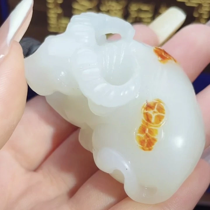 石包佛多样性拍一发一TT0916