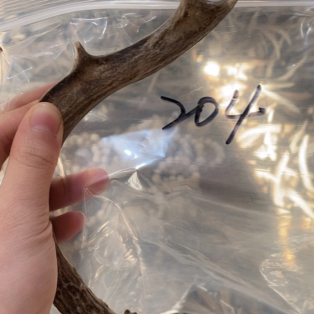 W***潘非金属鹿角鹿角鹿角