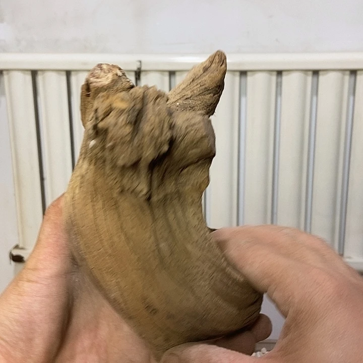 耿***新柏木崖柏根雕天然艺术