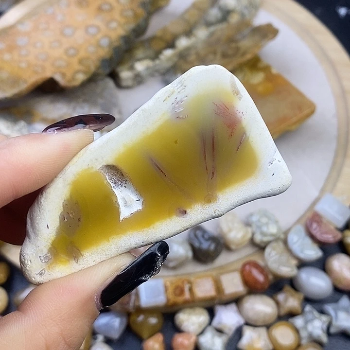 硅化玉未镶嵌颈饰7