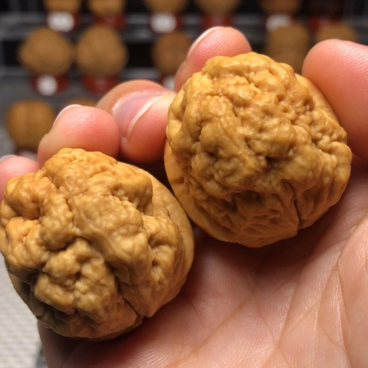 把件文玩核桃6血舍利