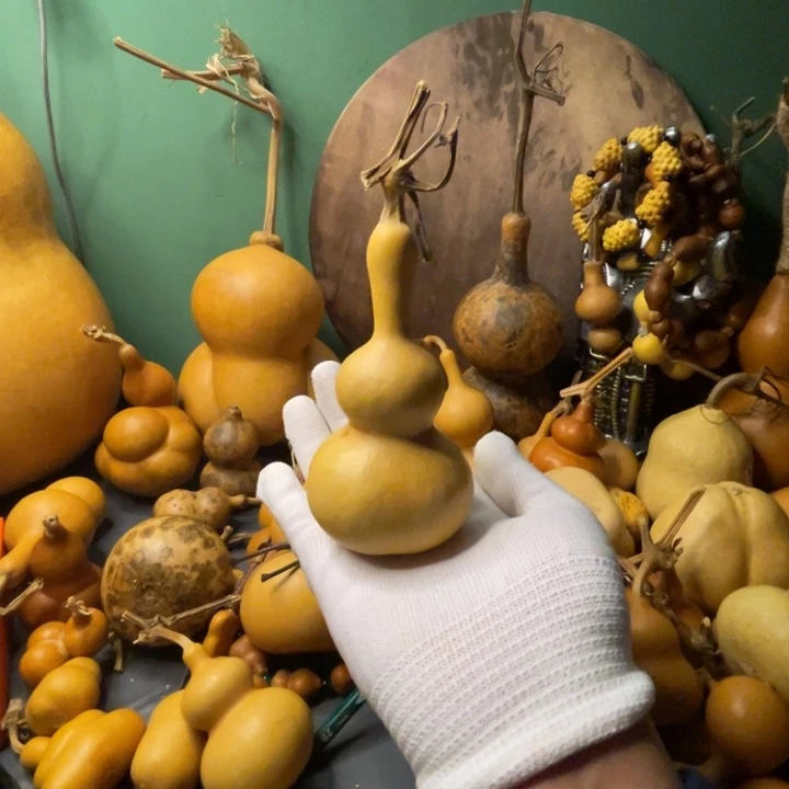 20理性消费看好下单