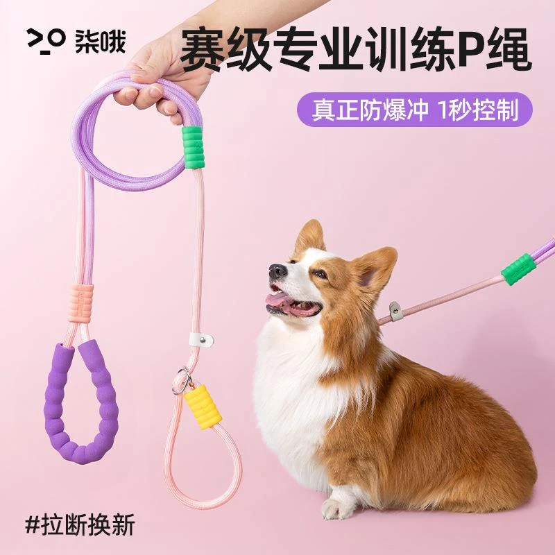 狗狗牵引绳防爆冲p绳中小型犬防挣脱链大型犬拴狗绳套脖遛狗用品