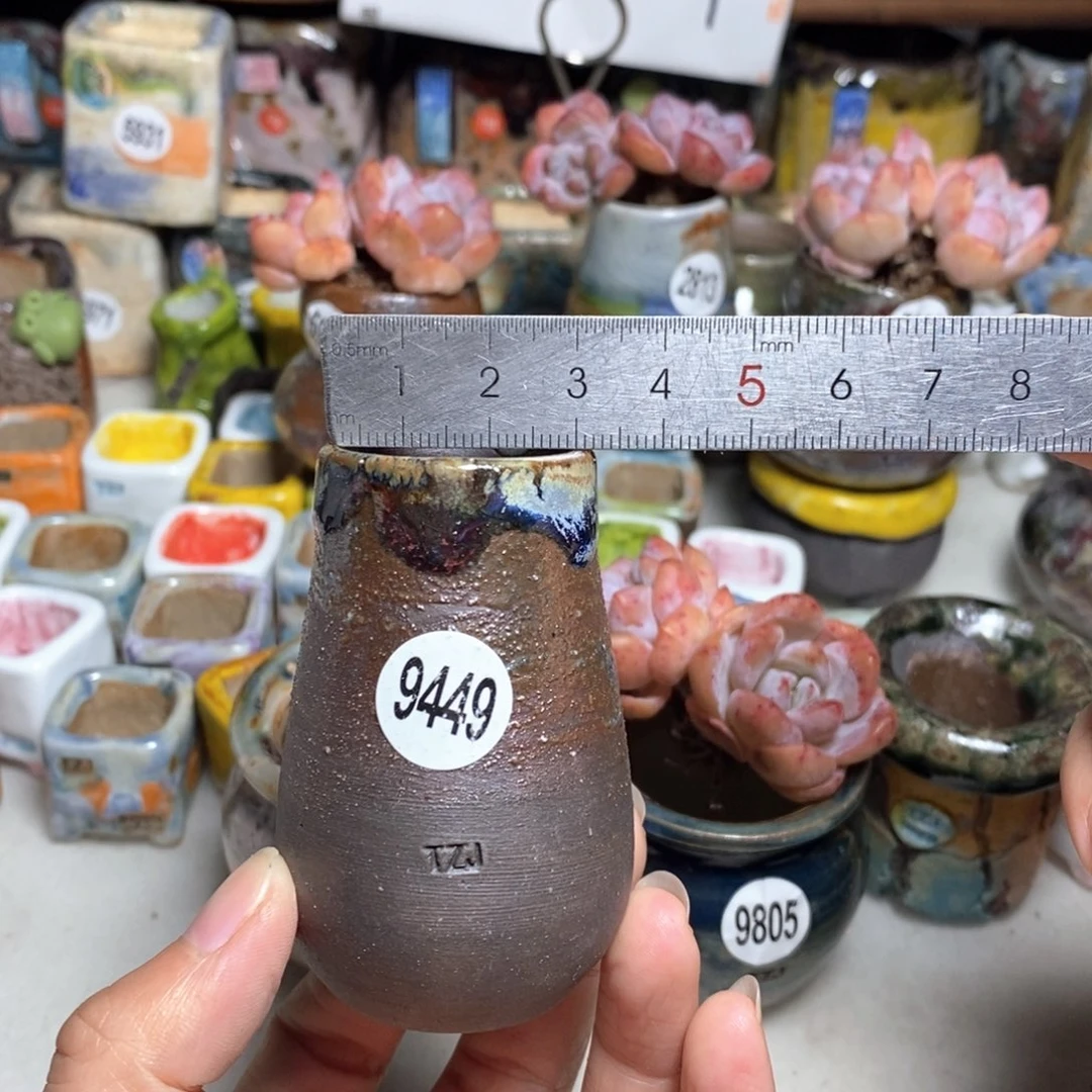 拍5送一个小礼物