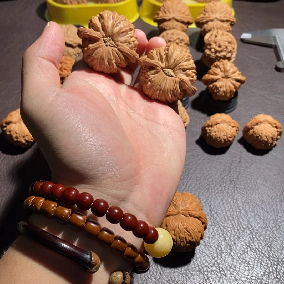 文玩核桃把件45全品卡姿兰白狮子