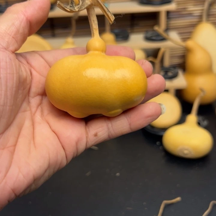 ?*?5255556563335669889