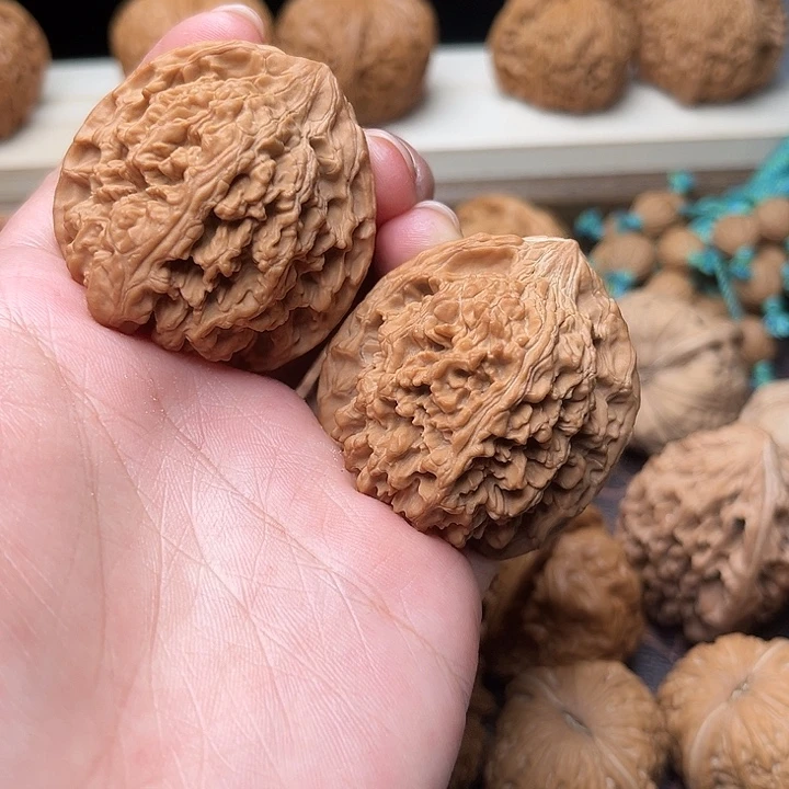 核桃41全品满天星