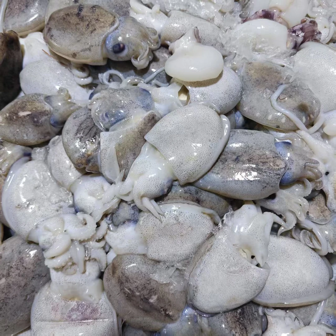 【鲜目鱼仔】上街弟推荐带皮 鲜冻发货 肉质鲜甜 脆