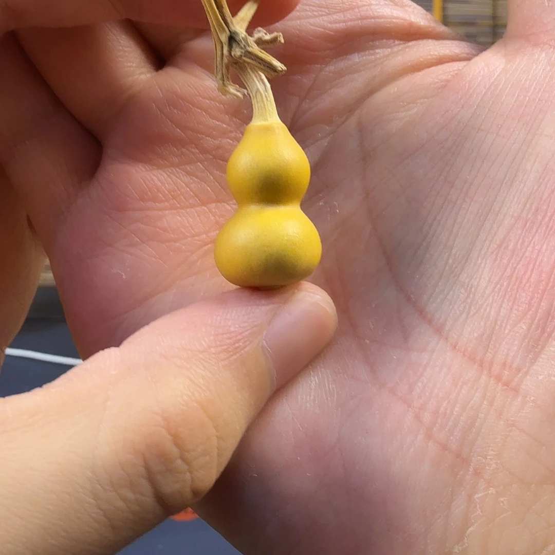 文玩葫芦精品草里金，尺寸2.1