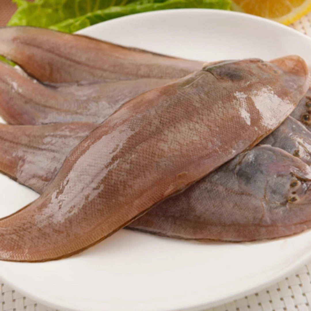 浅海 红婵龙舌（龙利鱼）省内包邮