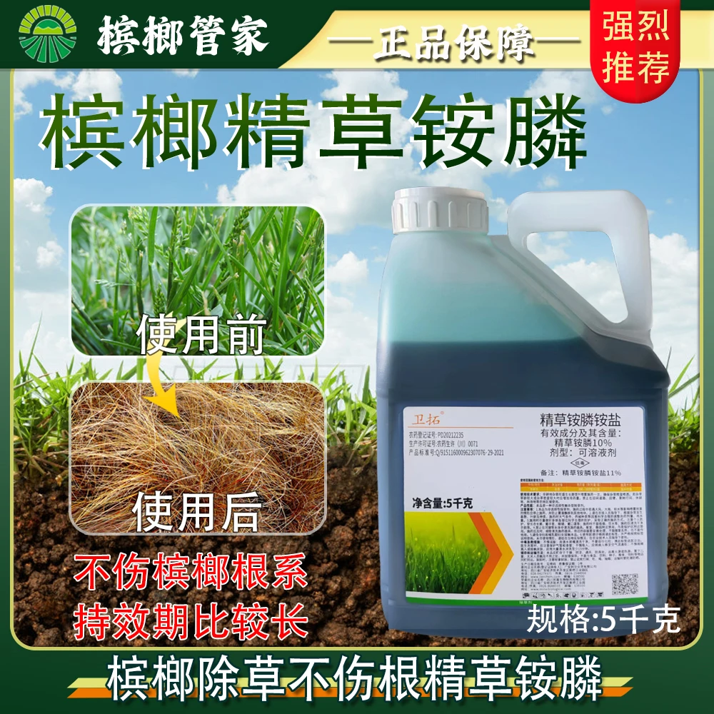 槟榔地安全强力除杂草不伤槟榔根系不伤地不黄叶精草铵膦除草剂