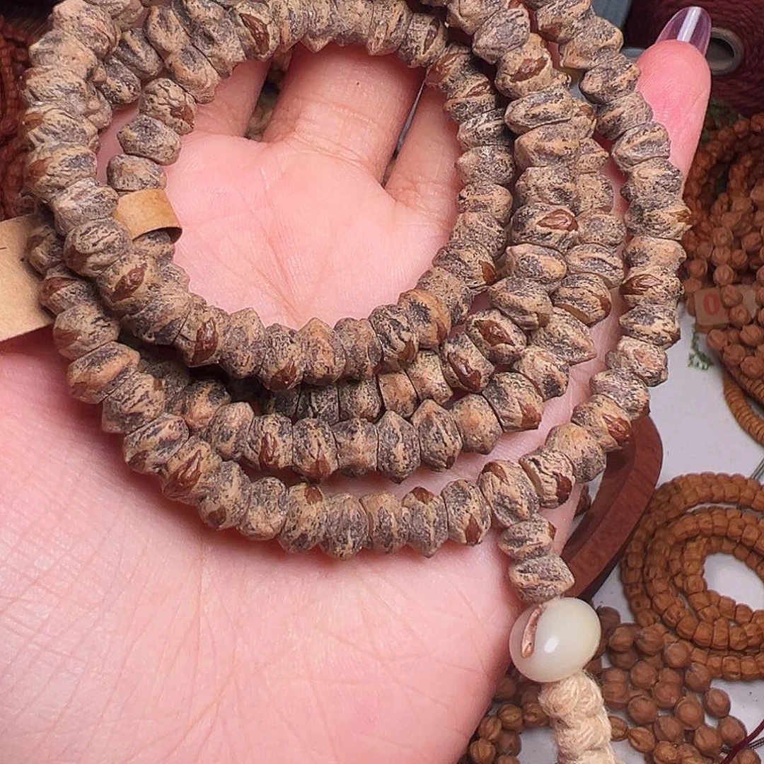 柏香籽/百香籽吊坠根****餐