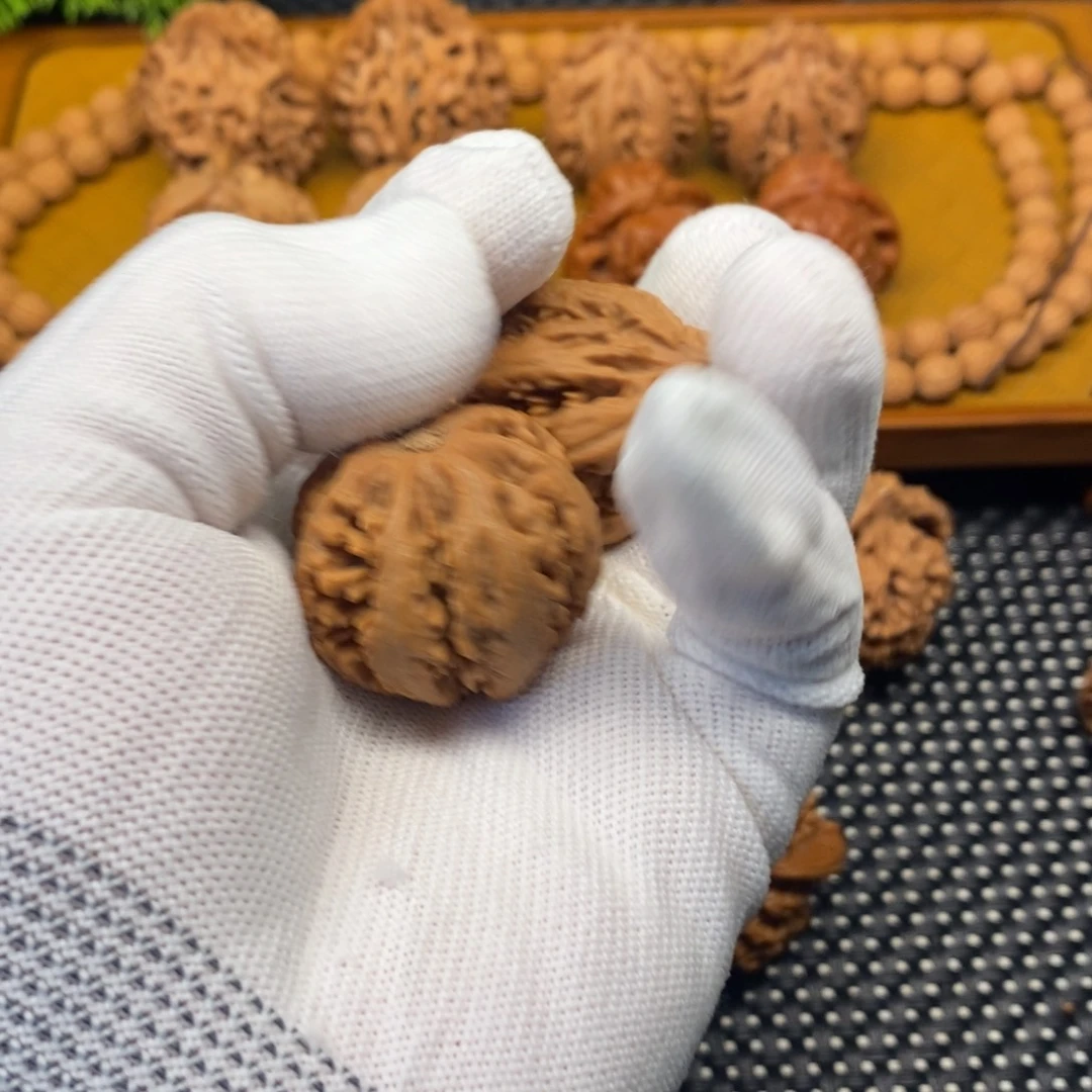 盘***啊秦岭南北的东西也