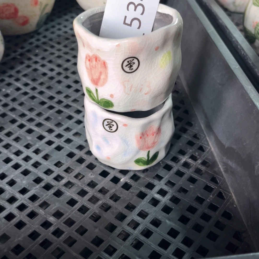 控**。534多肉花盆2个