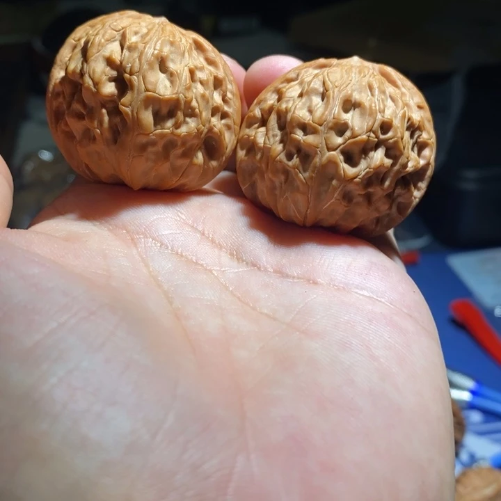 吊坠文玩核桃qiuwuwyeyeyye