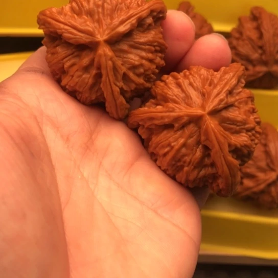 核桃核桃核桃核桃