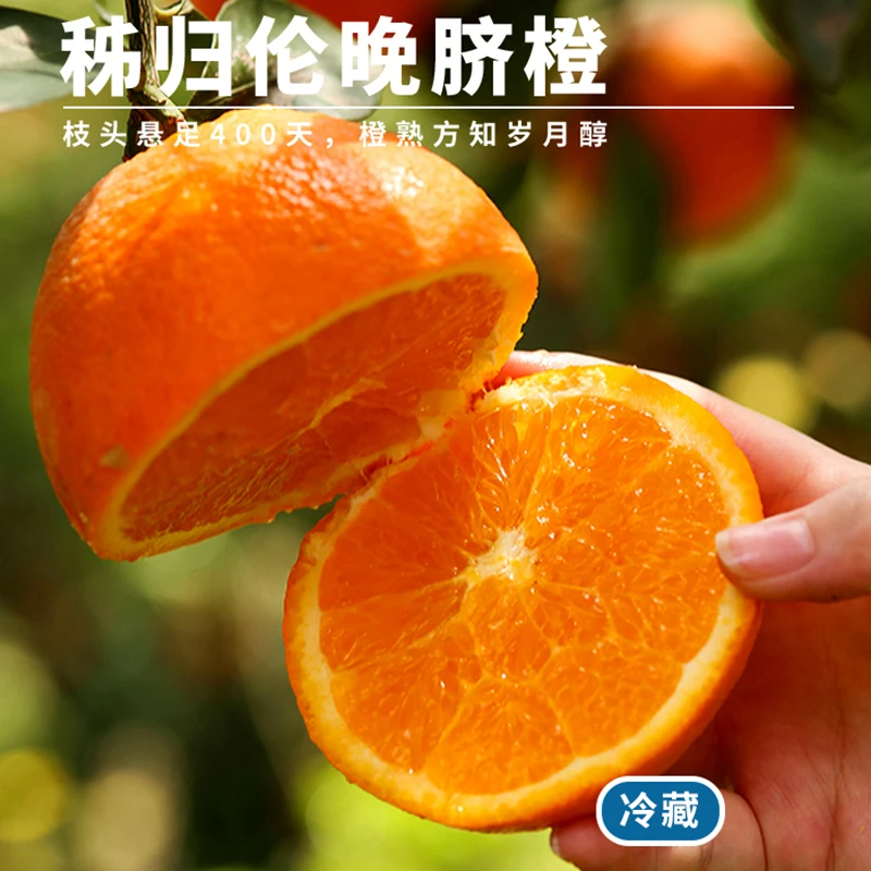 湖北秭归伦晚脐橙新鲜采摘酸甜适口果肉多汁开胃当季整箱包邮