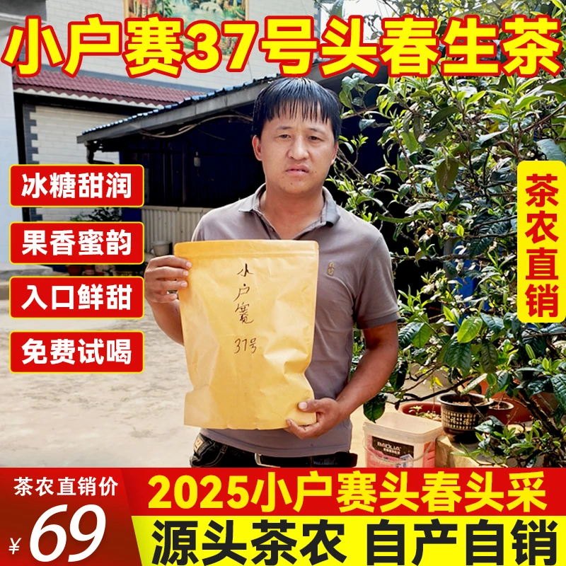 【小户赛·塞冰岛】2025年头春大树春茶源头茶农直销普洱花香蜜甜