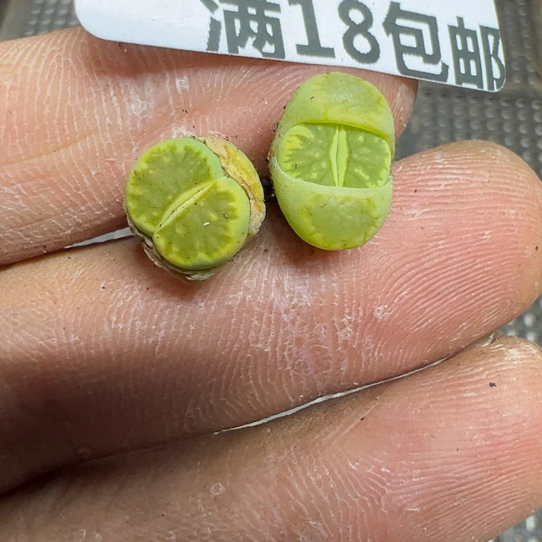 【闪购商品】 626.