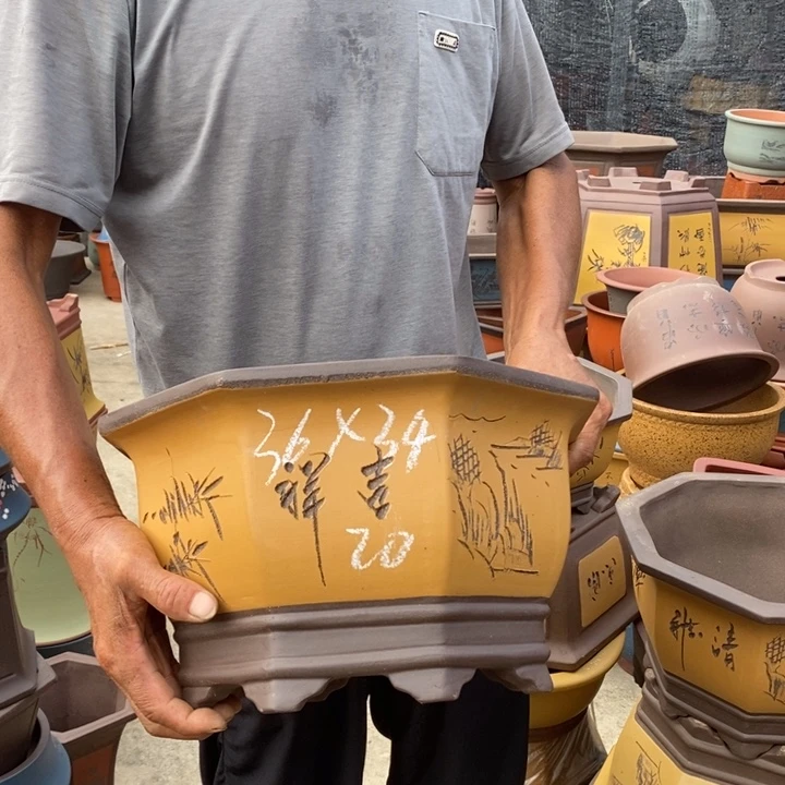 紫砂花盆盆栽花卉苗木种植