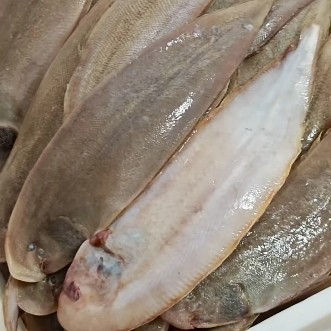 海捕鲜美龙利鱼牛舌鱼野生海鱼可做宝宝辅食净重3斤