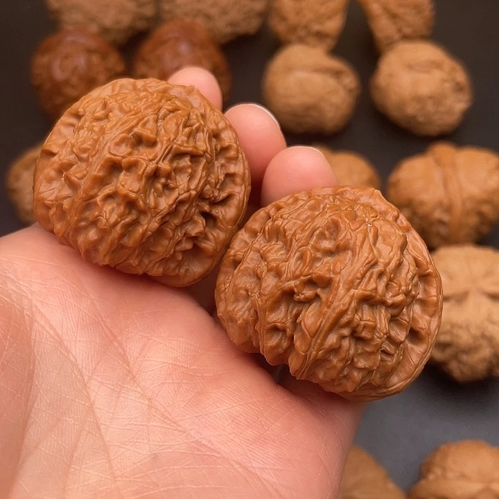 文玩核桃把件白狮子40尺全品