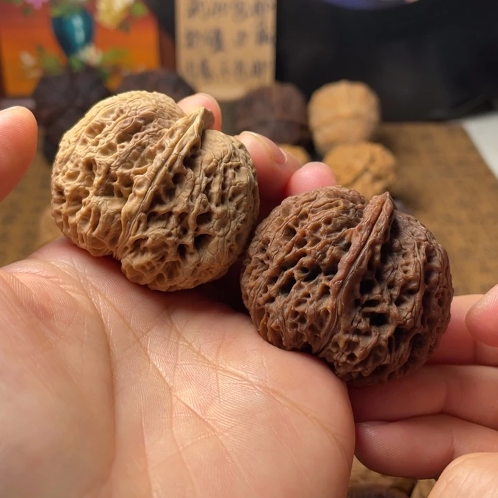 云南铁核桃珊瑚元宝