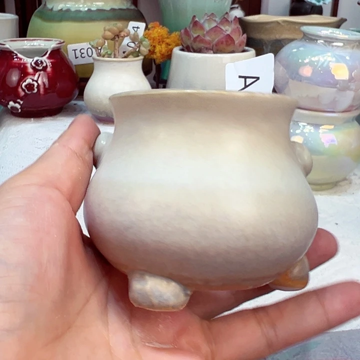 景德镇陶瓷研究所阿*蕾