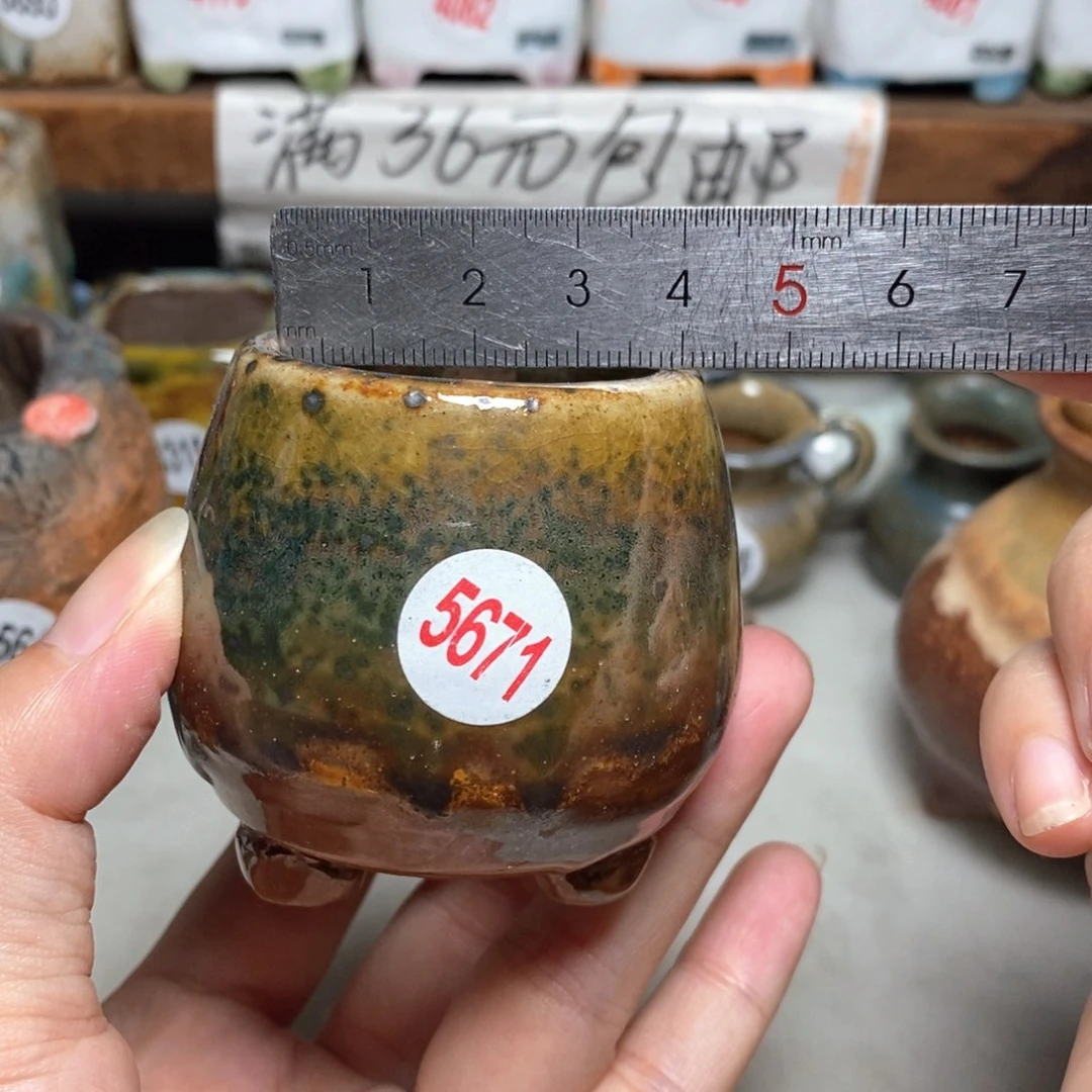 拍5送一个小礼物