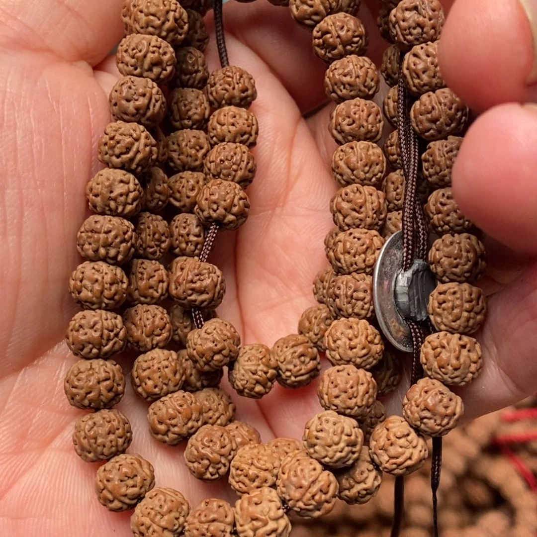 金刚菩提手串南***?纯血一代龙7