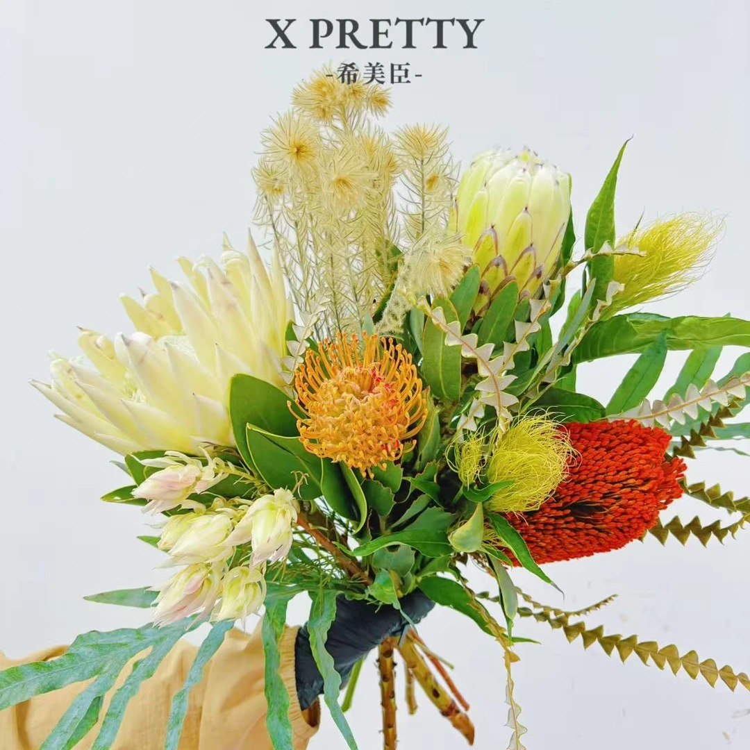 【伊丽莎白】南非进口帝王花高档手捧花干花花园庭院耐热懒人室外