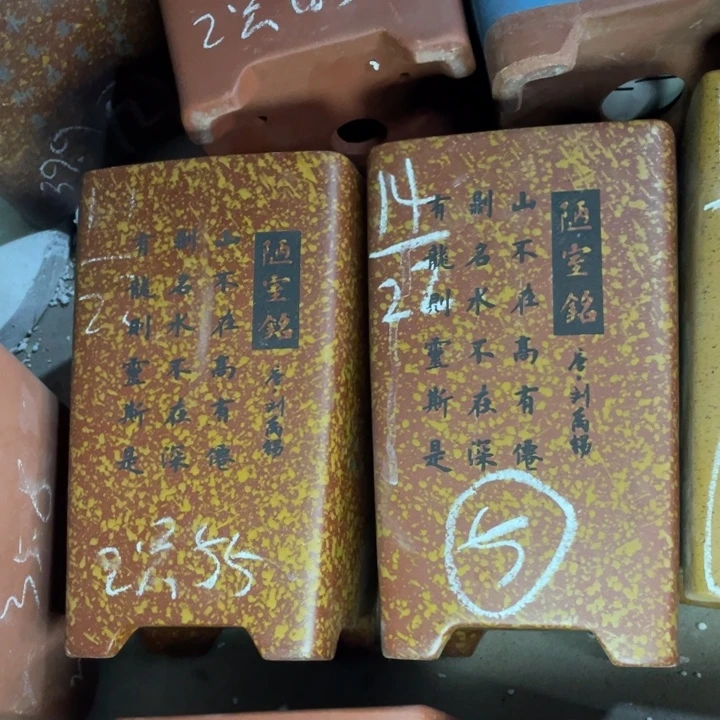 周深周深周深周深周深