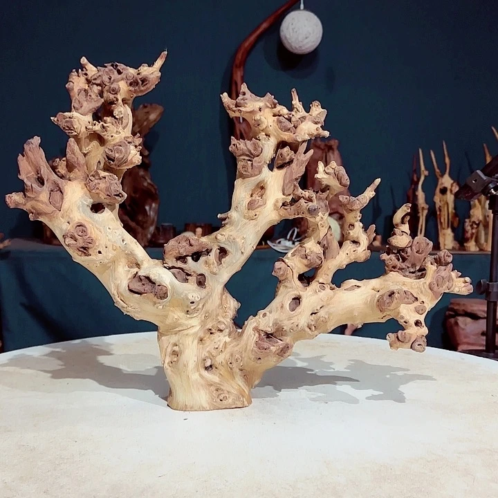 黑果木Z****哥289金丝红木羊蹄甲半成品