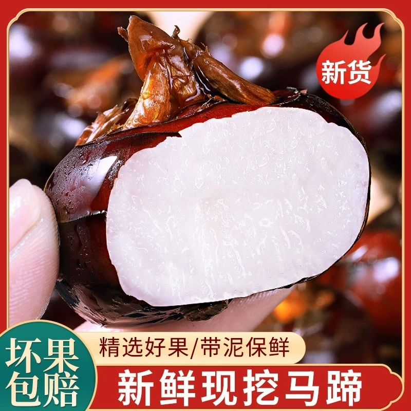 京东送货上门【买3送2】广西贺州正宗水果马蹄红皮荸荠脆甜多汁化渣