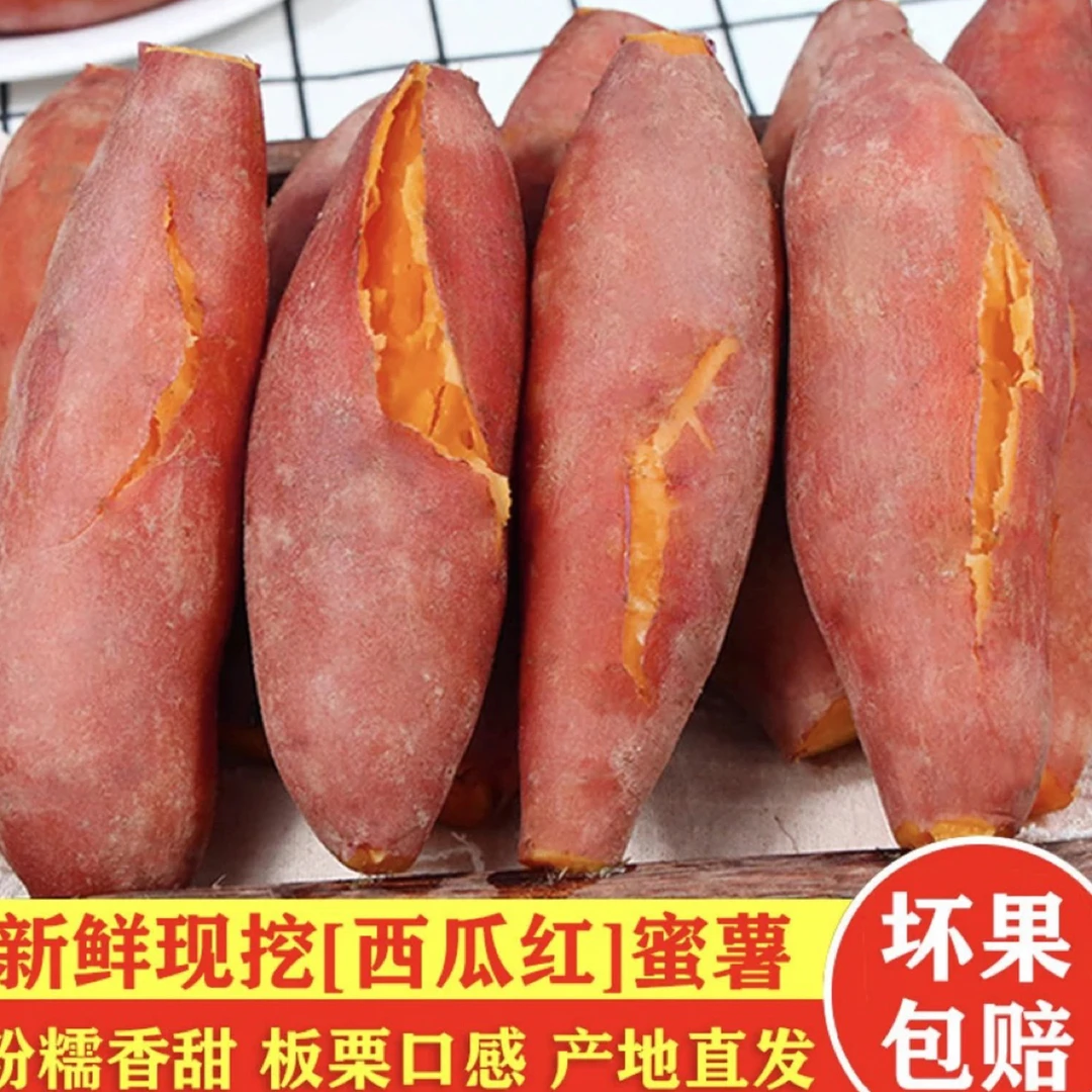 2025开封新鲜现挖沙地红心蜜薯软糯香甜无筋无丝