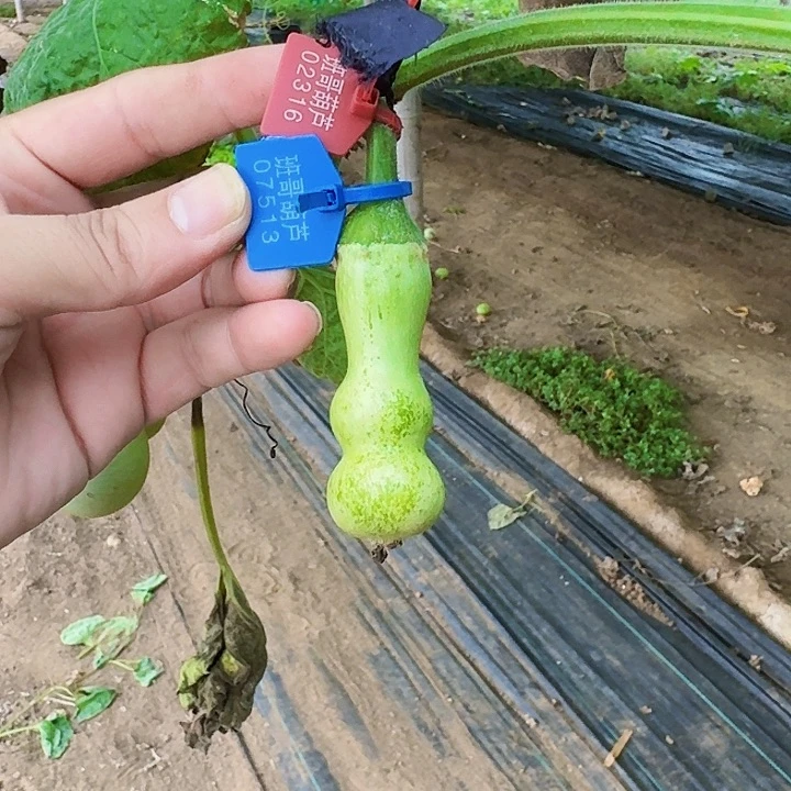 石***e马上去了就不打你手机上不