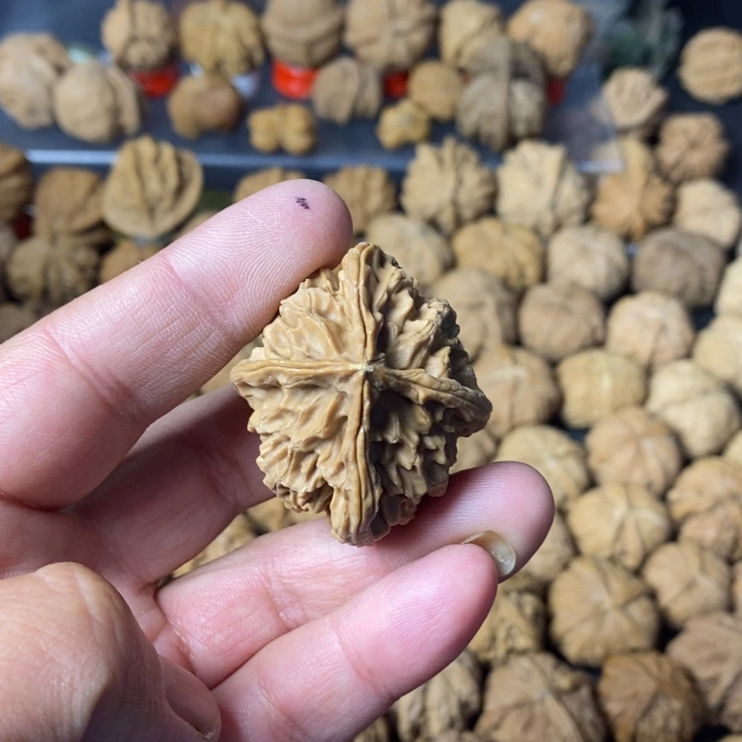 哈***哈大叶紫檀（黑酸枝木类）