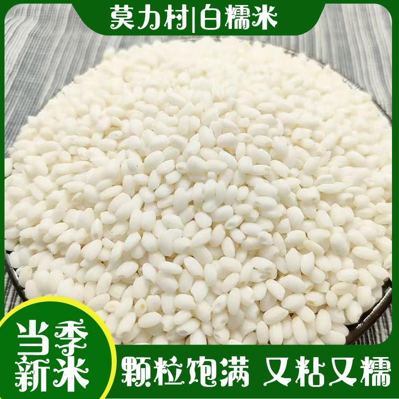 东北白糯米5斤包粽子八宝饭农家白江米