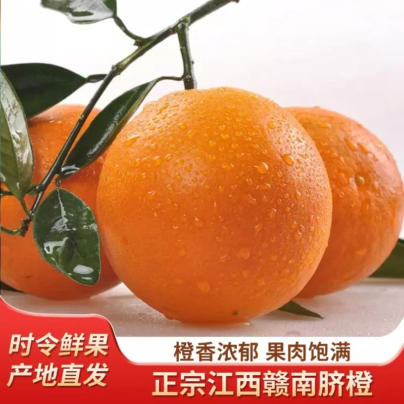 现摘正宗赣南脐橙产地直发应季水果新鲜采摘橙子香甜多汁