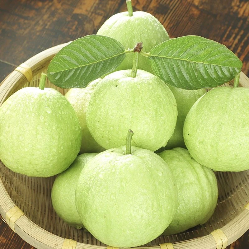【广东潮汕】脆口白心芭乐番石榴当季水果清甜多汁新鲜采摘产地直供